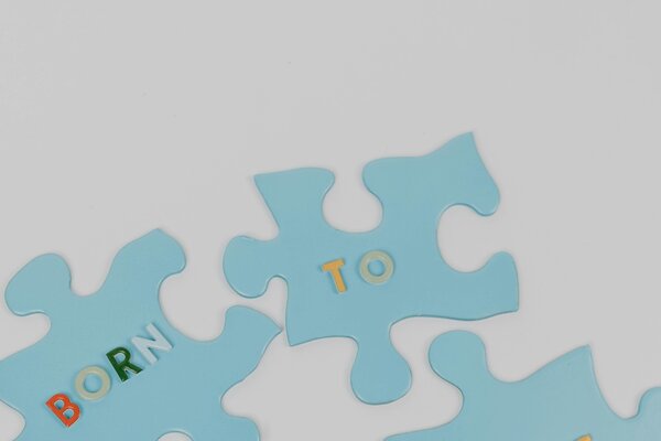 Developmental activities and educational support for children with special needs - puzzle therapy